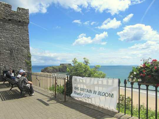 Flowers in Tenby during summer